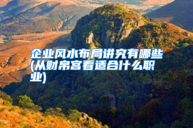企业风水布局讲究有哪些(从财帛宫看适合什么职业)