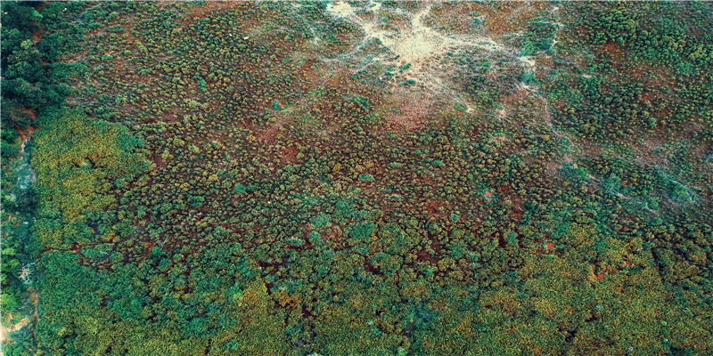 十二星座爱情谁最狠点评(十二星座谁心最狠)