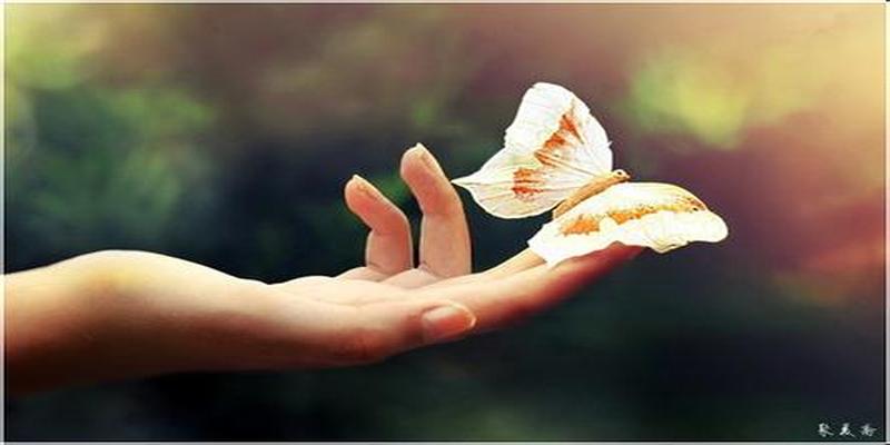 形容亲情的八字短句(张爱玲的八字情书)