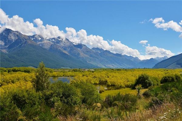 帝王风水是什么样(风水罗盘看九星详解)