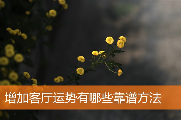 增加客厅运势有哪些靠谱方法(客厅风水学布局)