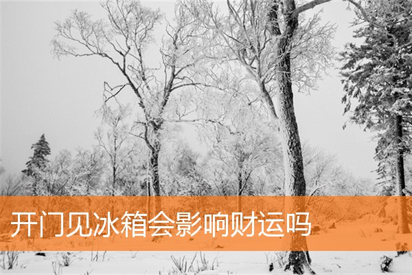 家里放什么东西好招财旺运(家里旺财风水布局)
