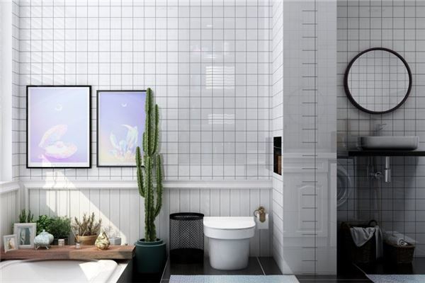 怎样处理厕所秽气(化解卫生间的秽气的摆件)