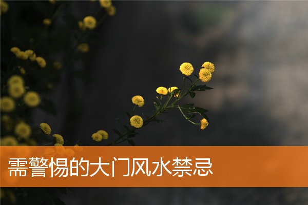 需警惕的财位风水禁忌(财位摆放什么东西好)