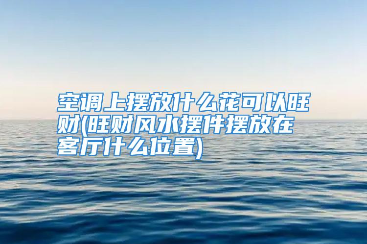 空调上摆放什么花可以旺财(旺财风水摆件摆放在客厅什么位置)