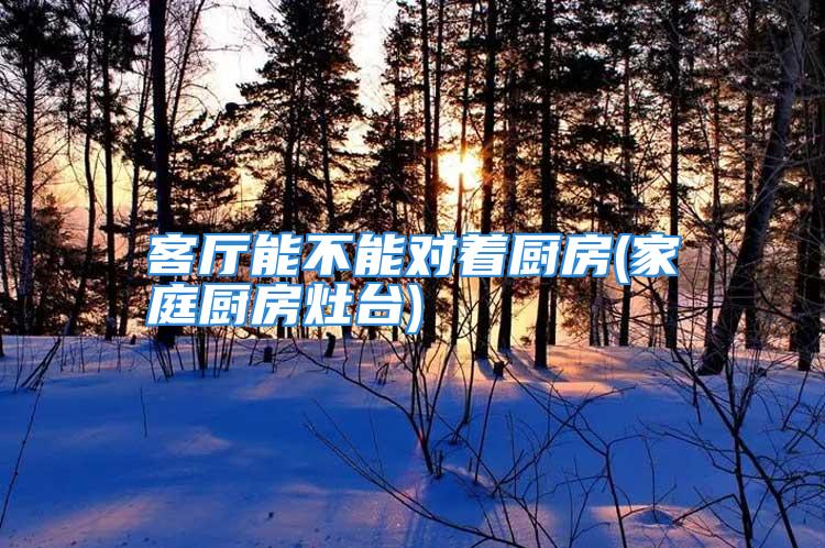 客厅能不能对着厨房(家庭厨房灶台)