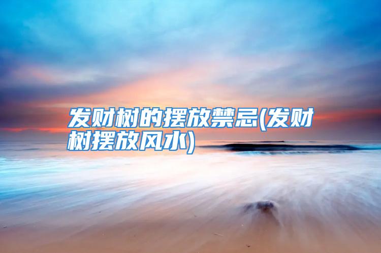 发财树的摆放禁忌(发财树摆放风水)