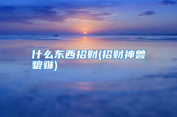 什么东西招财(招财神兽貔貅)