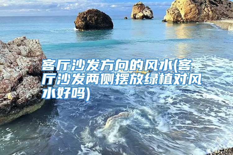 客厅沙发方向的风水(客厅沙发两侧摆放绿植对风水好吗)