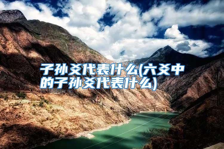 子孙爻代表什么(六爻中的子孙爻代表什么)