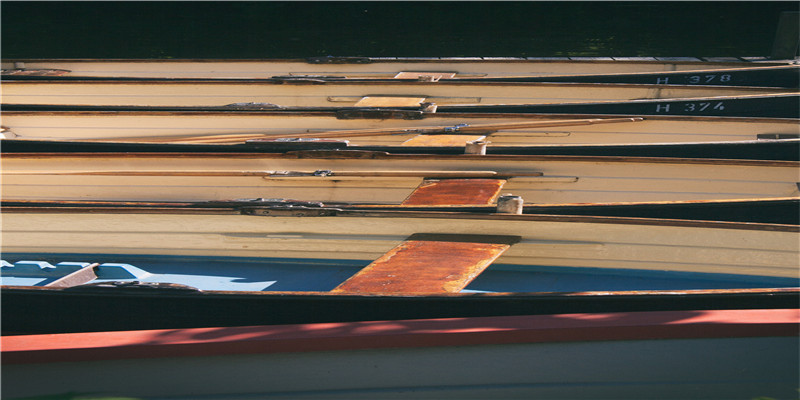 小花仙花语 十二星座代表的花(12星座小花仙)