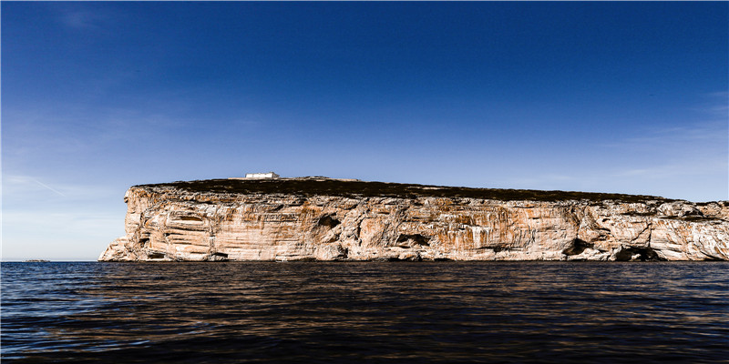六爻预测最全的子孙爻(六爻定世爻的技巧)