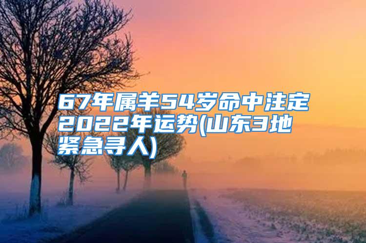 67年属羊54岁命中注定2022年运势(山东3地紧急寻人)