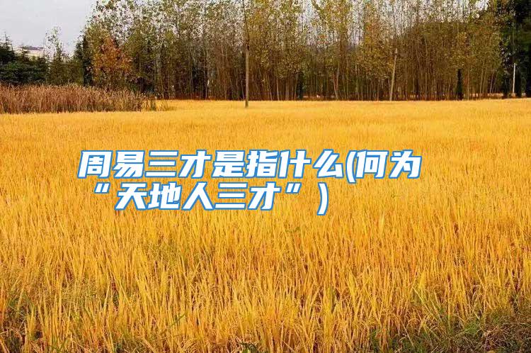 周易三才是指什么(何为“天地人三才”)