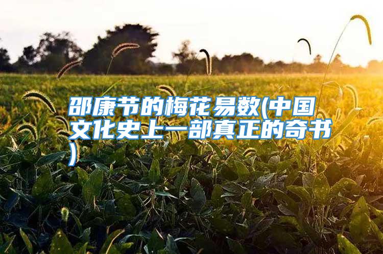 邵康节的梅花易数(中国文化史上一部真正的奇书)