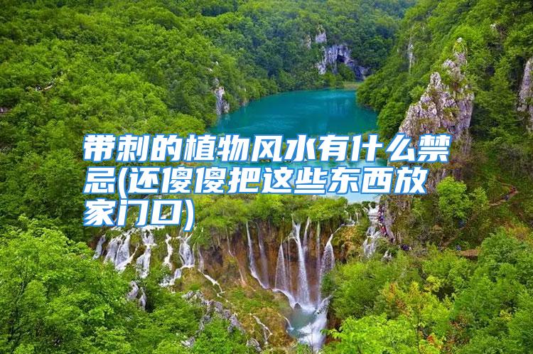 带刺的植物风水有什么禁忌(还傻傻把这些东西放家门口)