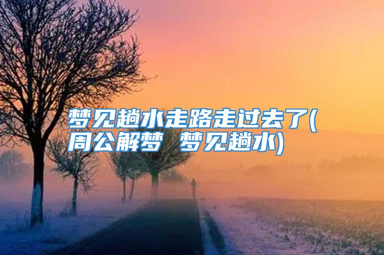 梦见趟水走路走过去了(周公解梦 梦见趟水)