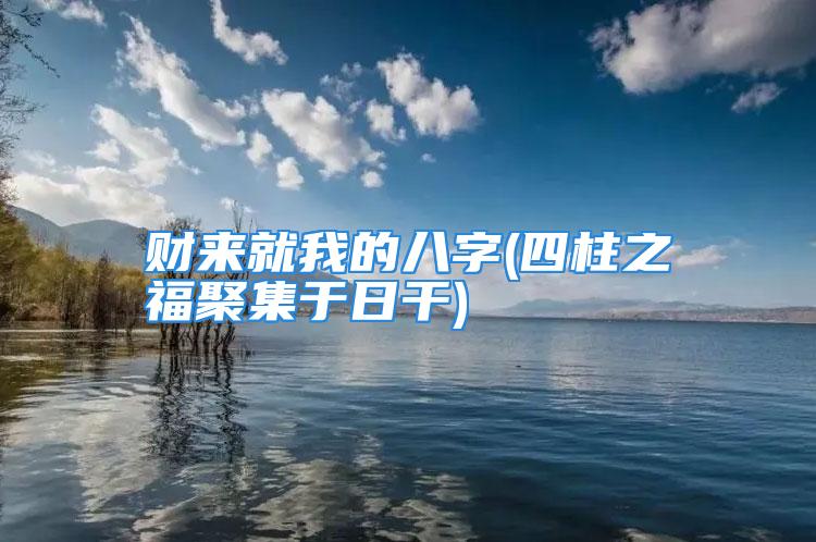 财来就我的八字(四柱之福聚集于日干)