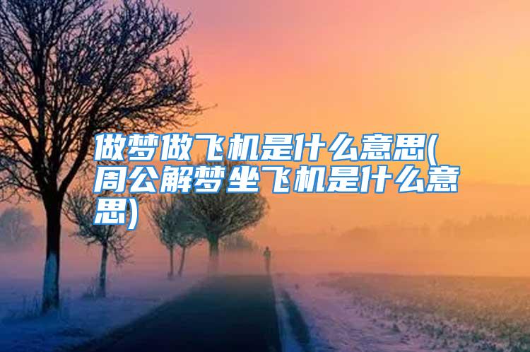 做梦做飞机是什么意思(周公解梦坐飞机是什么意思)