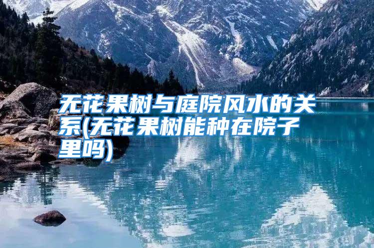 无花果树与庭院风水的关系(无花果树能种在院子里吗)