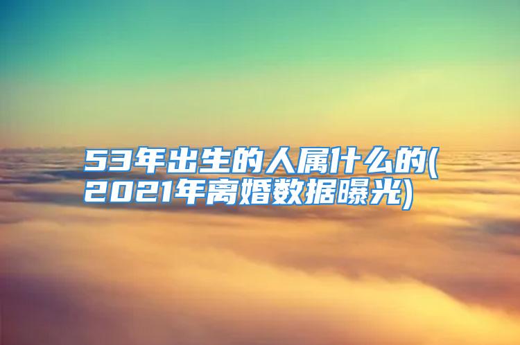 53年出生的人属什么的(2021年离婚数据曝光)