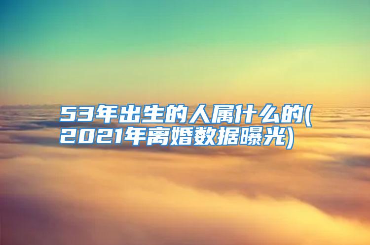 53年出生的人属什么的(2021年离婚数据曝光)