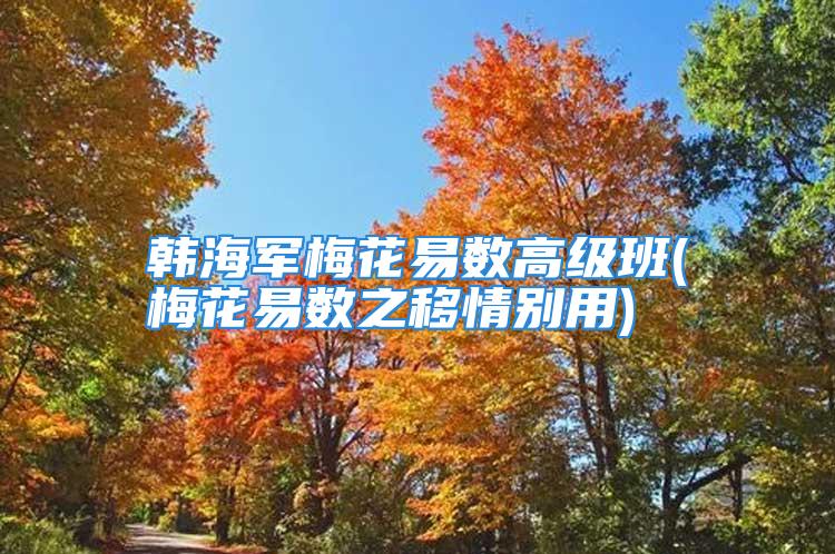 韩海军梅花易数高级班(梅花易数之移情别用)