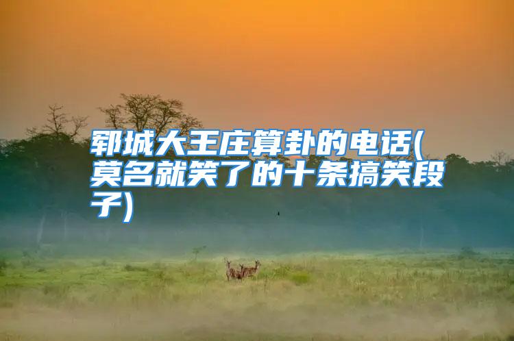 郓城大王庄算卦的电话(莫名就笑了的十条搞笑段子)