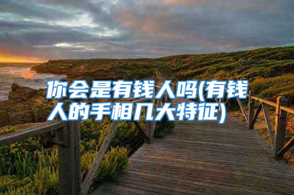 你会是有钱人吗(有钱人的手相几大特征)