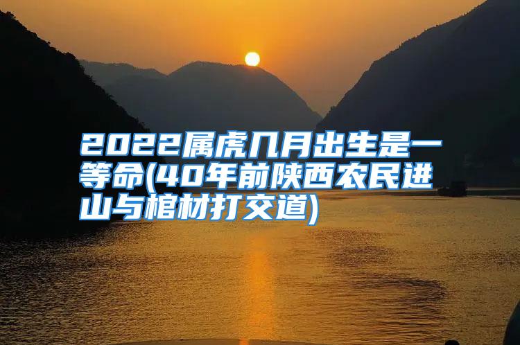 2022属虎几月出生是一等命(40年前陕西农民进山与棺材打交道)