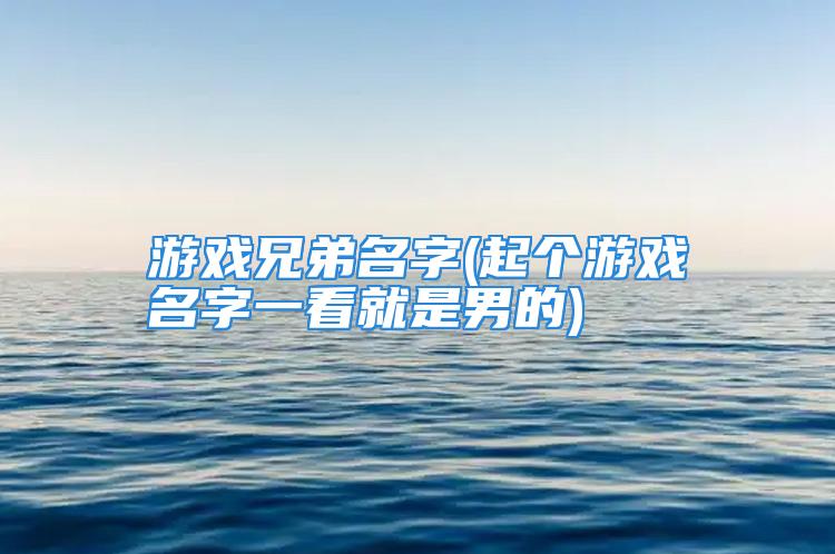 游戏兄弟名字(起个游戏名字一看就是男的)