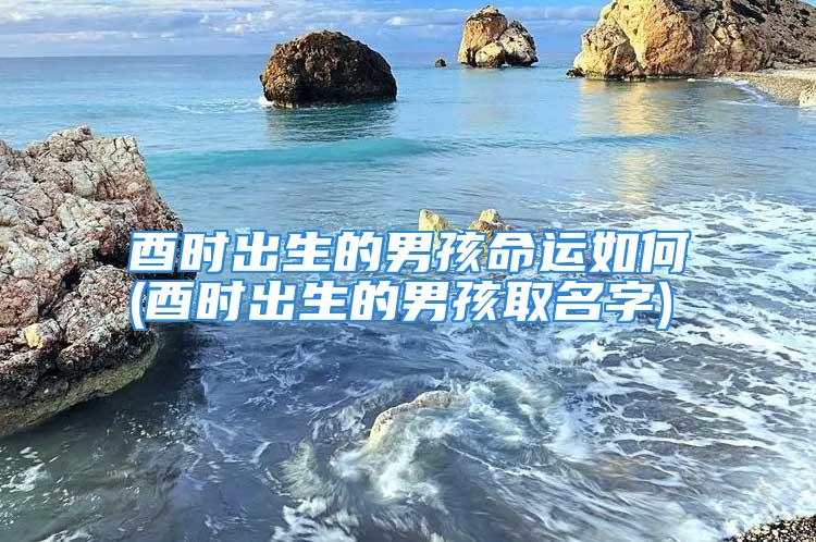 酉时出生的男孩命运如何(酉时出生的男孩取名字)