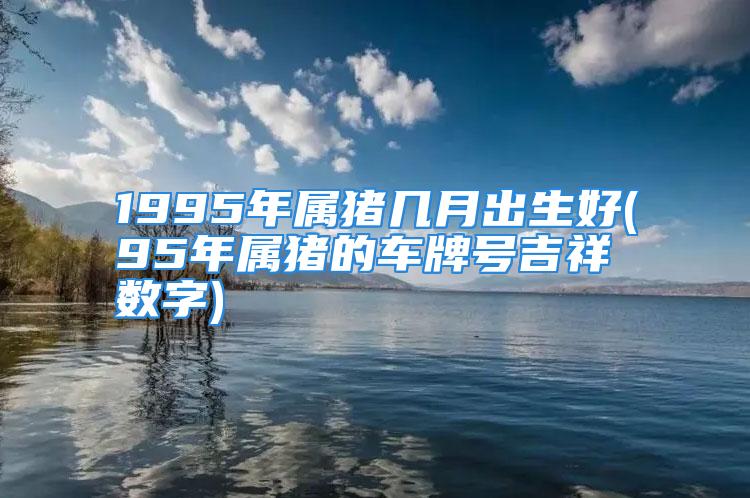 1995年属猪几月出生好(95年属猪的车牌号吉祥数字)