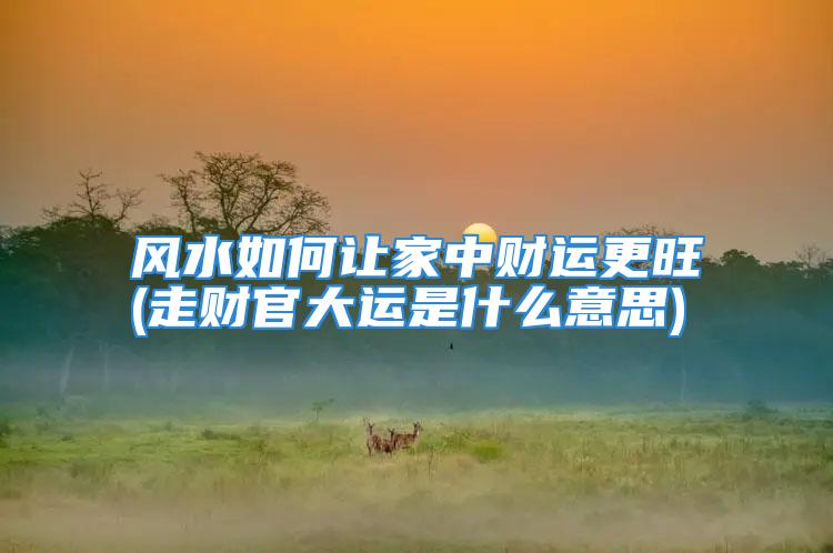 风水如何让家中财运更旺(走财官大运是什么意思)