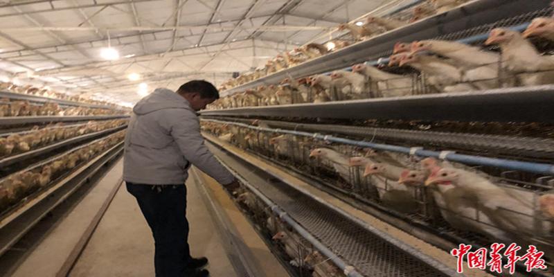 送给算卦的锦旗用语(多一双筷子的事儿)