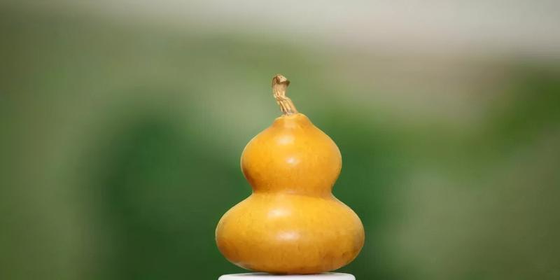 道家都会算卦吗(文玩半壁出道教)