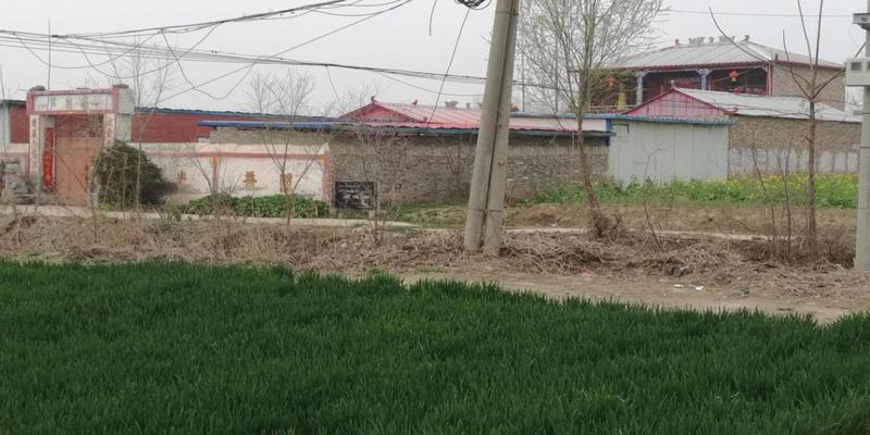 长垣周边烧香算卦的地方(小小芦岗古碑里的中国)