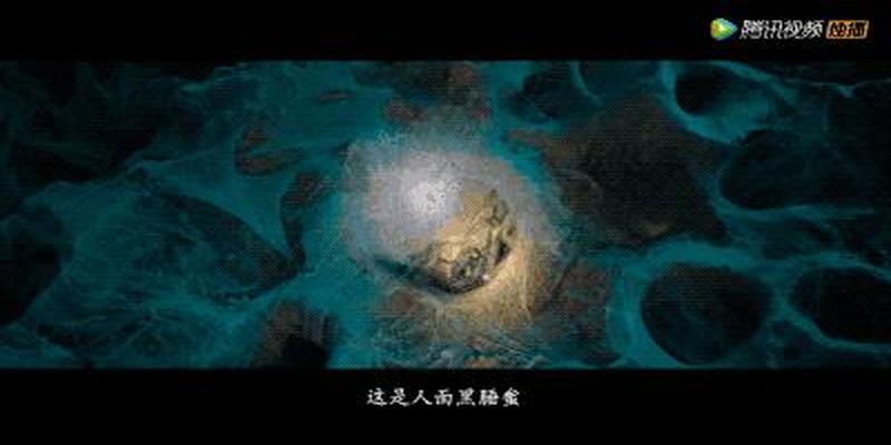 陈瞎子给胡八一算卦是什么意思(从陈玉楼演到胡八一)