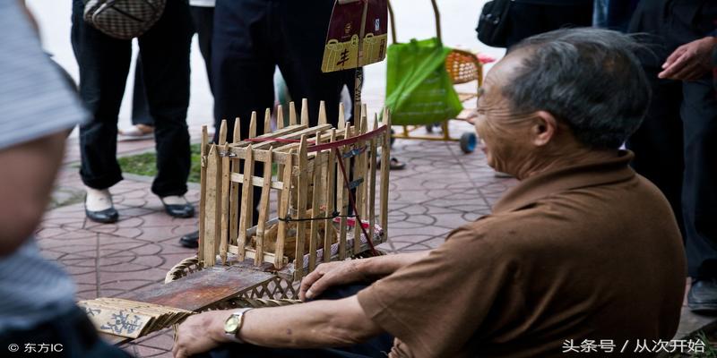 青州毛耳算卦准吗(先生用鸟算命)