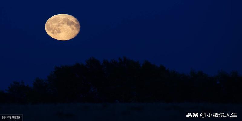 韩信算卦孝歌歌词(“人事有代谢)