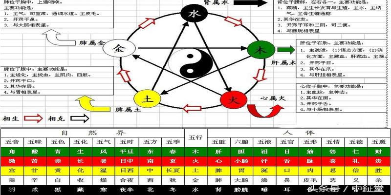 八字十天干庚辛金(阴阳五行十天干基础详解)