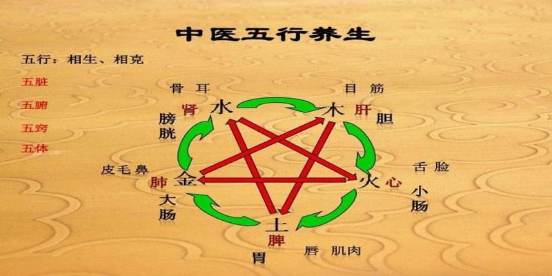 八字卯代表什么(根据出生时间正确地排出人生八字)