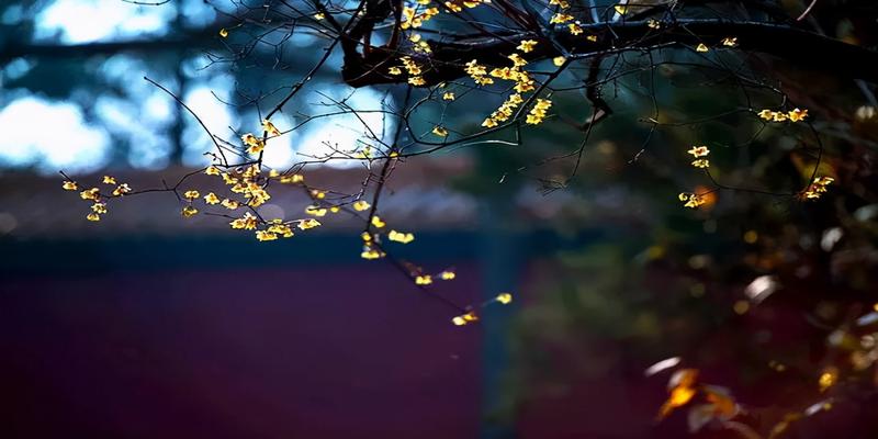 八字名言经典对联(曾国藩10副对联)