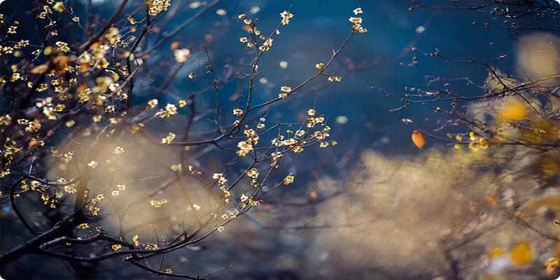 八字名言经典对联(曾国藩10副对联)