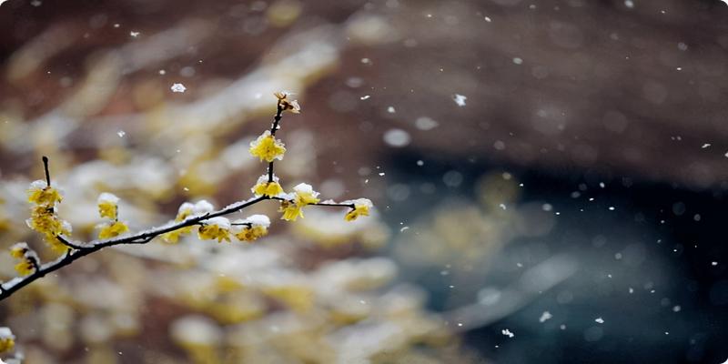 八字名言经典对联(曾国藩10副对联)