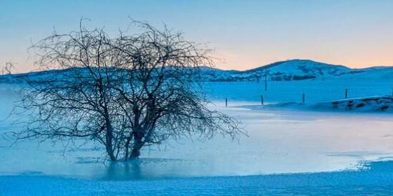 八字命硬是什么意思(什么时辰出生的人命硬)