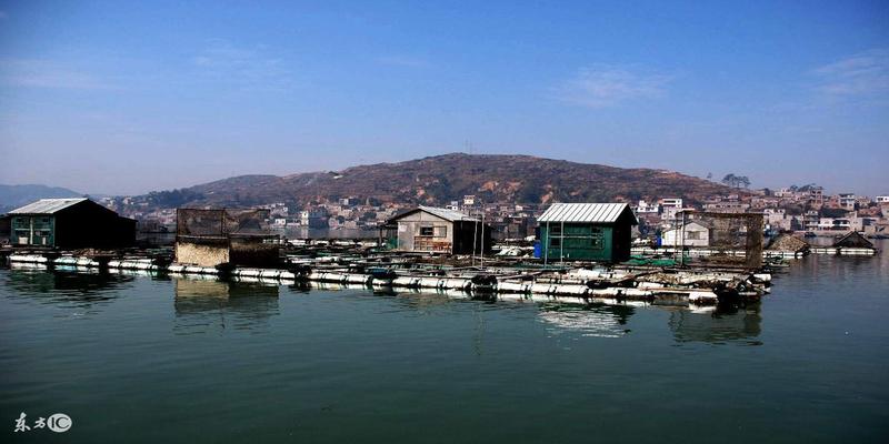 八字德秀贵人(四柱八字之地支三合的特点)