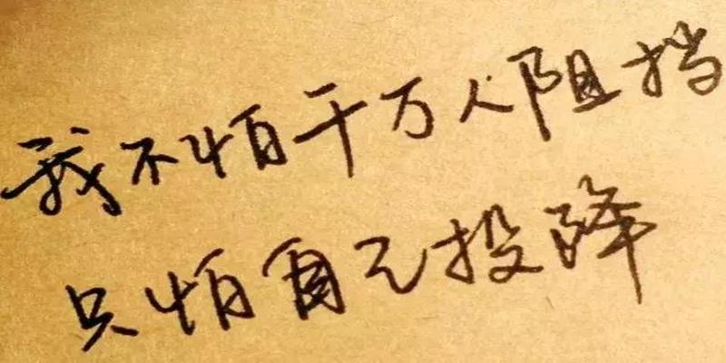 八字押韵谁与争锋口号(高考励志标语)