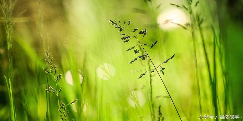 八字日柱为什么是空的(教您不用死记硬背)