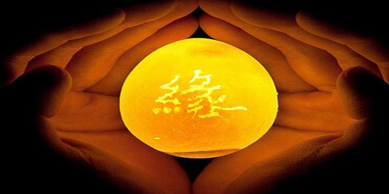 八字有子辰合的人(女大男8岁也可以结婚的生肖)